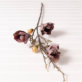Branch - Magnolia (PK/12 AST)
