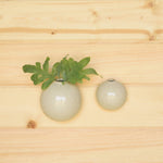 Logan Wall Bubble - Sm - Flecked White