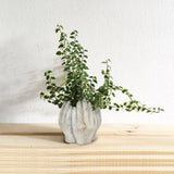 Sm Tall Hands Planter-7"H