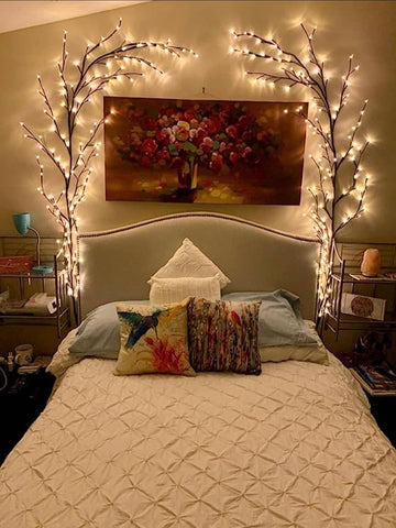 6Ft. Willow Vine Lights LED Indoor String Lights