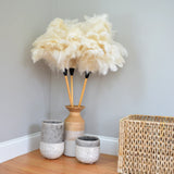 Feather Duster (14in)