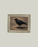 Painted Crow