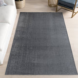 Argelia Solid Machine Washable Area Rug
