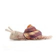 Mini Snail