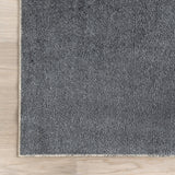Argelia Solid Machine Washable Area Rug