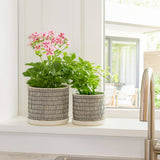 Planters - Ivory Ceramic Line with Saucer (2 SIZES), 6/8 in.