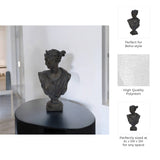 Decorative Sculpture - Bronze Resin Grecian Bust, 12 in.