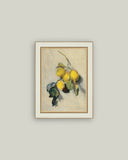 Branch of a Lemon Tree Framed Antique Art