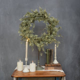 22" MINI FICUS WREATH