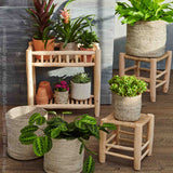Melia™ baskets (set of 4)