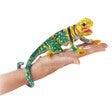 Mini Lizard, Collared