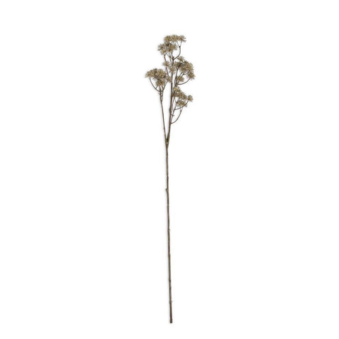 33 Inch Natural Aralia Stem