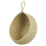 Hanging Basket, Seagrass
