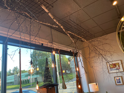 String led lights (plug in)