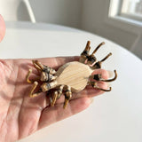 Handmade Bamboo Crab | Nature Center Bestseller