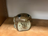 Hand painted frog