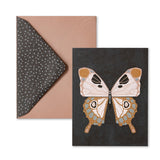 BUTTERFLY
Boxed Blank Note Cards