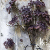 Artificial Queen Anne's Lace, Purple