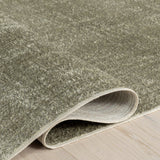Argelia Solid Machine Washable Area Rug