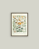 Legumes ET Plantes