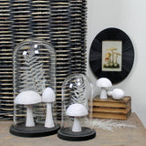 Nell Dome with Wood Base - Lrg