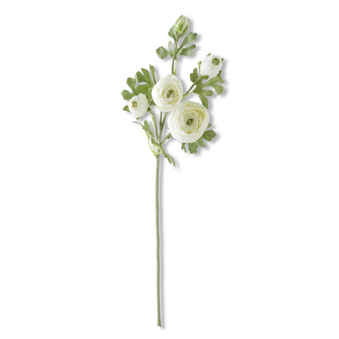 24.5 INCH WHITE REAL TOUCH 5 HEAD RANUNCULUS STEM