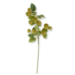 31 Inch Green Speckled Pear Stem