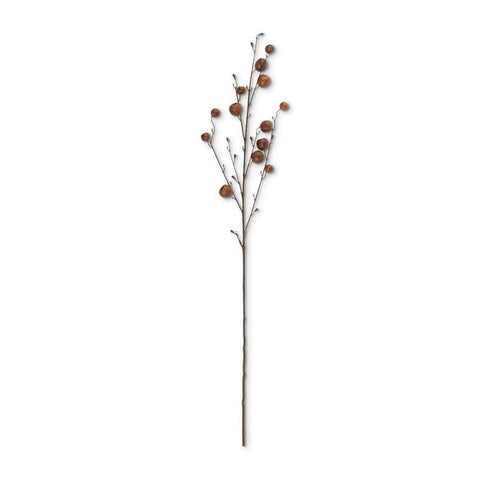 41 Inch Brown Pod Stem