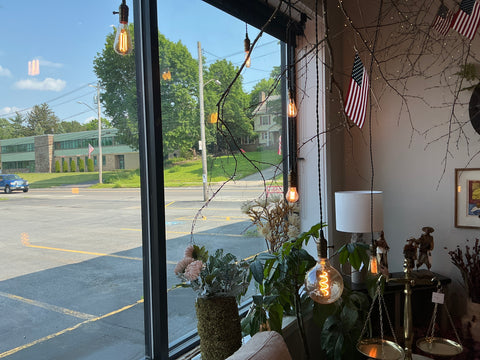 Window lights