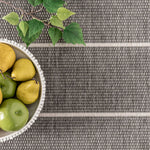 Alaina Indoor/Outdoor Striped Area Rug