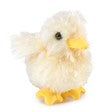 Mini Chick