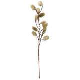 Botanical Stem - White Sage