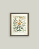 Legumes ET Plantes