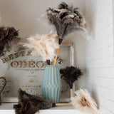 Feather Duster (14in)