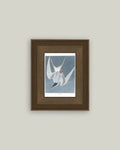 Great Tern Bird Painting Framed Antique Art