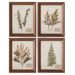 Assorted 9.25 Inch Dried Botanical Framed Art (4 Styles