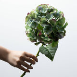 Green Hydrangea Stem