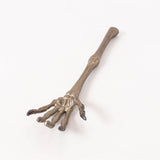 Phantom Skeleton Hand Curio | Gothic Halloween Decor