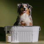 Sweet Marjoram & Rosalina Dog Wash
