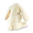 Mini Rabbit, Lop Eared