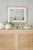 Birch Forest Poster Photo Art