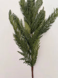 40" Faux Cedar Stem