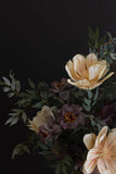 BOTANICA #3436