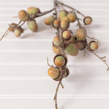 Pick - Green Acorn Spray (PK/12)