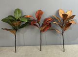 22''T Nature Touch Faux Magnolia Leaf Branch, Indoor/Ourdoor