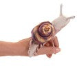Mini Snail