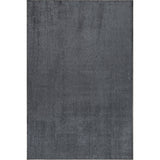 Argelia Solid Machine Washable Area Rug