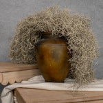 37" SPANISH MOSS BUSH
