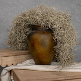37" SPANISH MOSS BUSH