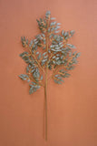 BOTANICA #3436